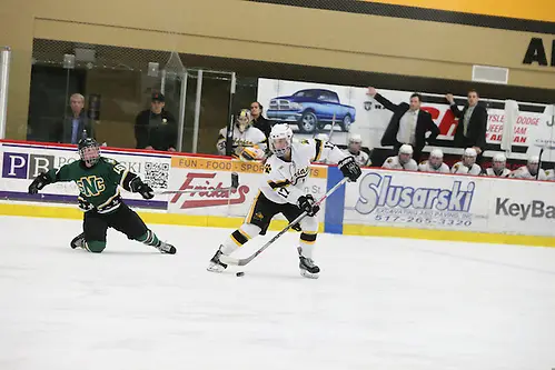 Brooke Lupi of Adrian Brooke Lupi of Adrian (Adrian College Athletics)