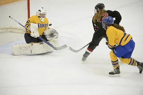 Lindsey Hartfiel of St. Scholastica Lindsey Hartfiel of St. Scholastica (St. Scholastica Athletics)