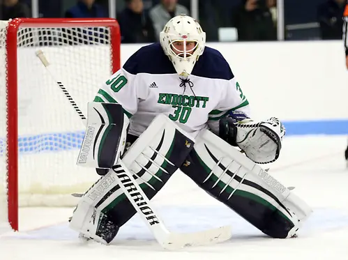 Goalie Kevin Aldridge of Endicott Freshman Goalie Kevin Aldridge of Endicott (Tim Brule)