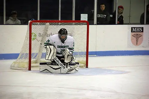 Vendela Jonsson of Endicott Vendela Jonsson of Endicott (Endicott Athletics)
