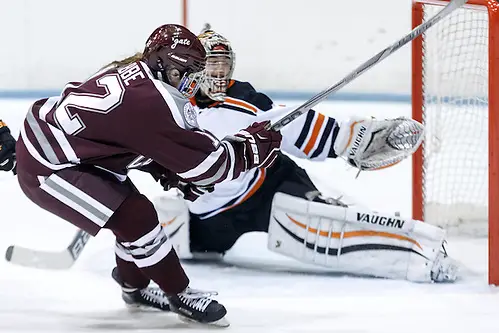 Photo By: (c) Shelley M. Szwast 2014 Shae Labbe (Colgate - 12) lifts the puck up and over Kimberly Newell ( Princeton - 33) for a third period goal. ((c) Shelley M. Szwast 2014)