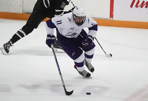 1008762179 McCoy Sports Sabres (James P. McCoy/Niagara Athletic Communications)