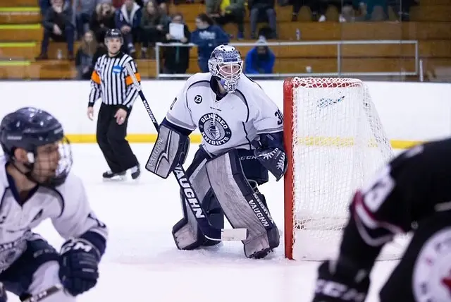 Devin McDonald of Geneseo Devin McDonald of Geneseo (Keith Walters)