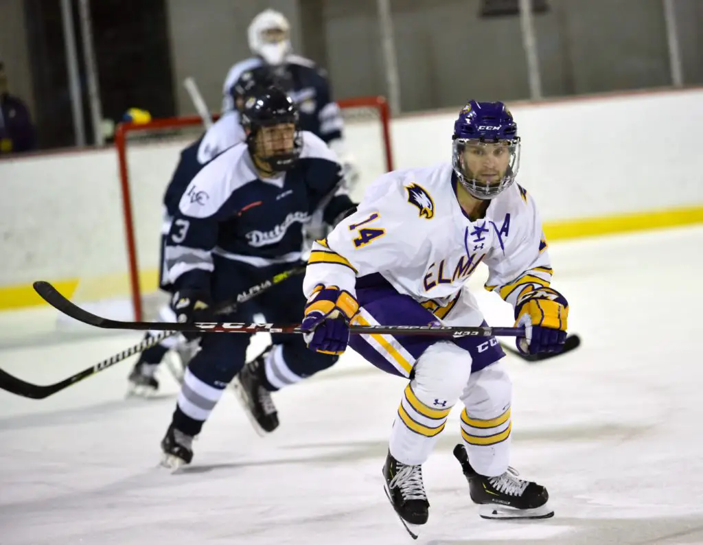 This week in college hockey, D-III East: Playoff Preview
