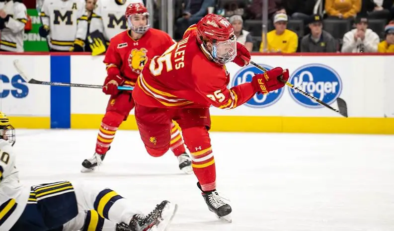 ferris state hockey jersey