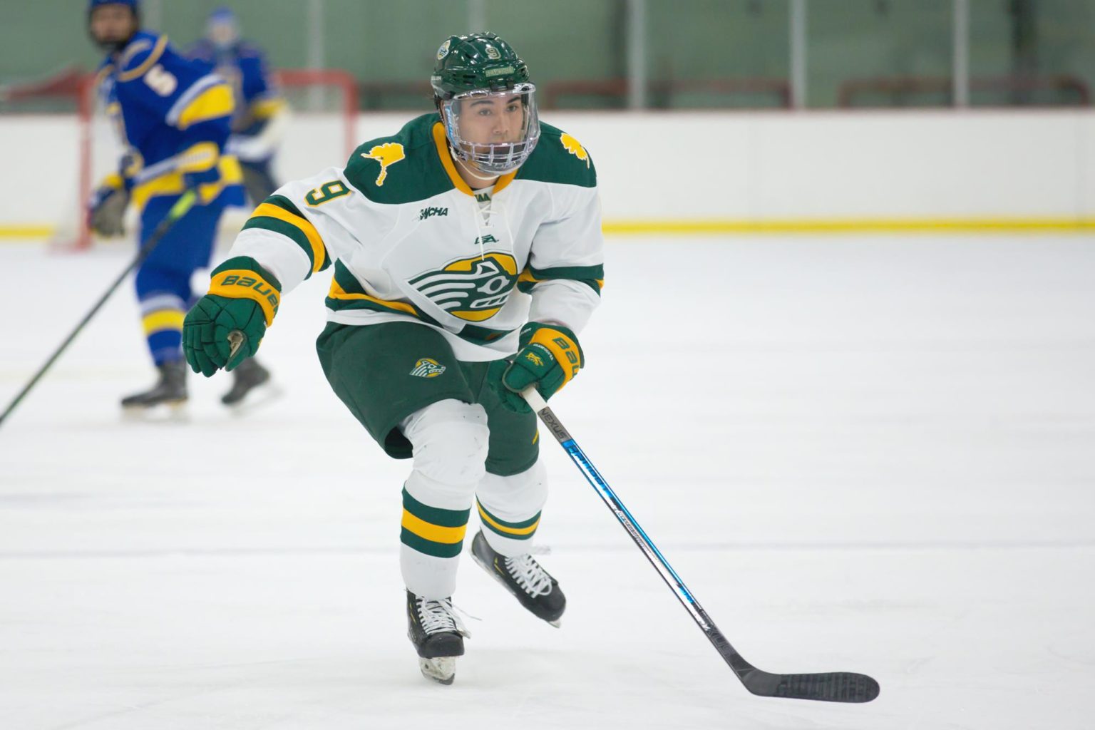 This Week in WCHA Hockey: Alaska Anchorage has playoff fate in own